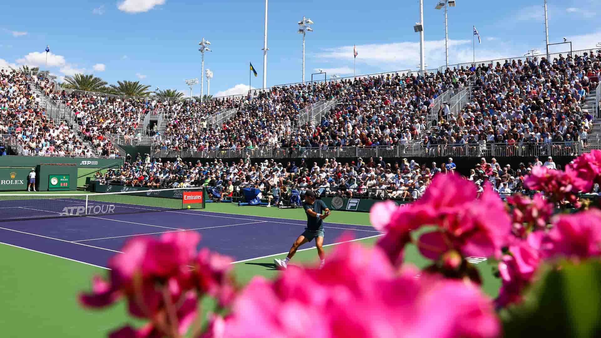 Vista panorámica desde la grada de una pista dura en Indian Wells 2026, con flores fucsias brillantes en primer plano y un jugador de tenis en plena acción bajo el sol de California.